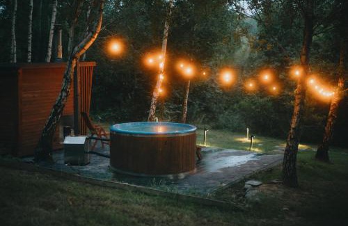 Lubenia Villa | Domki W Sam Las & SPA Lubenia