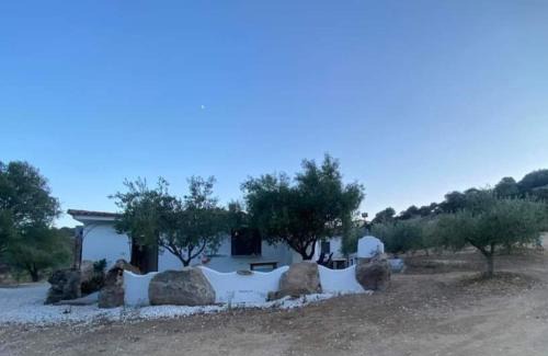 Irgoli Apartment | Domo Galàna