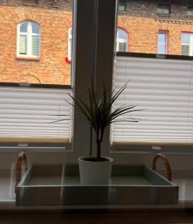 Nikiszowiec Apartment | Domowo
