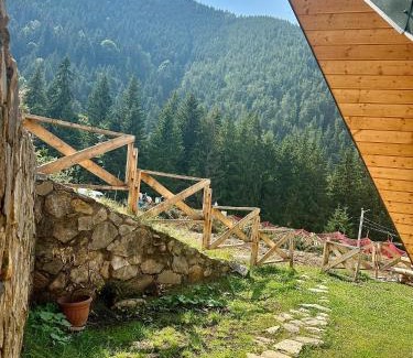 Rausor Villa | Domul Poarta Retezat