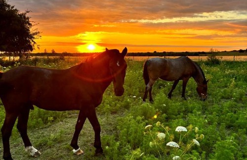 Entre Rios Other | Don Natalio casa Rural
