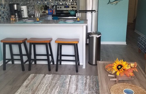 Galveston Condo | Don't Cross Seawall to Get to the Beach!
