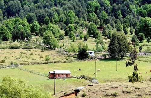 Curacautin House | Donde Cuty