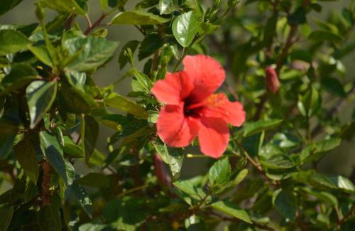 Pollina House | Donna Pulina Holidays