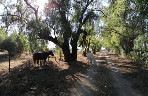 Inxuba Yethemba Other | Doornfontein Guest Farm