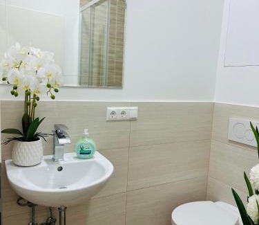 Rhein-Erft-Kreis District Apartment | Doppelzimmer 4