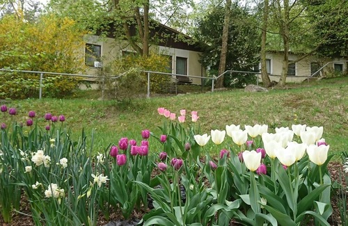 Chorin Apartment | Doppelzimmer Haus am Wald
