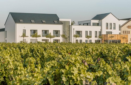 Palzem Apartment | Doppelzimmer "kulturerbe" - Zeit bei Sauerweins