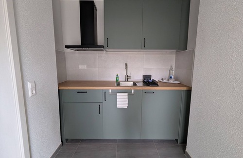 Lauta Apartment | Dorfaue - Holiday home Sydom with two apartments