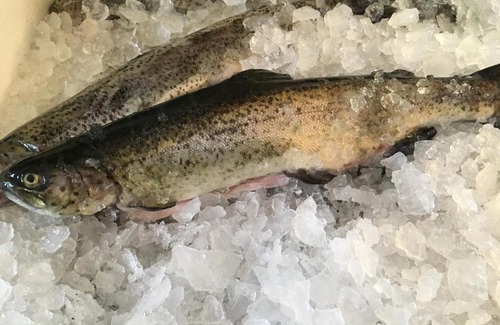 Schalkenmehren Hotel | Dorfgasthof Schmitz