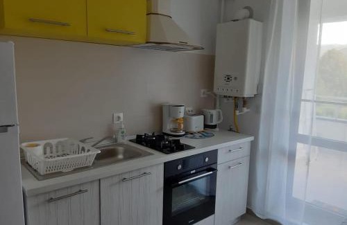 Sinaia Apartment | DORIN COLINA MAREI