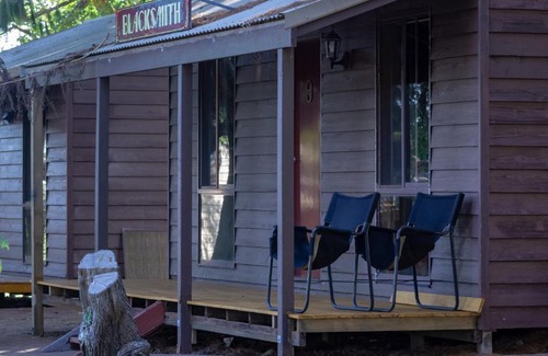 Dorrigo Other | Dorrigo Mountain Holiday Park