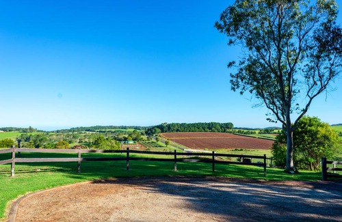 Dorrigo Other | Dorrigo Mountain Holiday Park