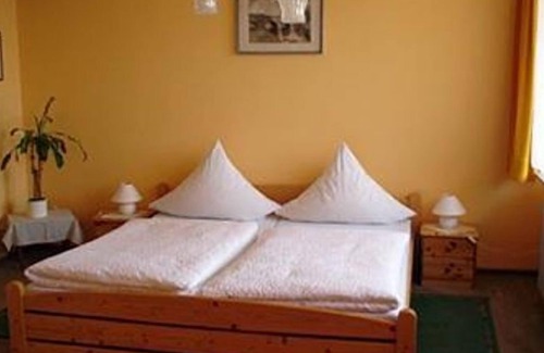 Neustadt-Haardt House | Double room 15, shower, toilet, 1 bed room - Hotel Müller-Pressler
