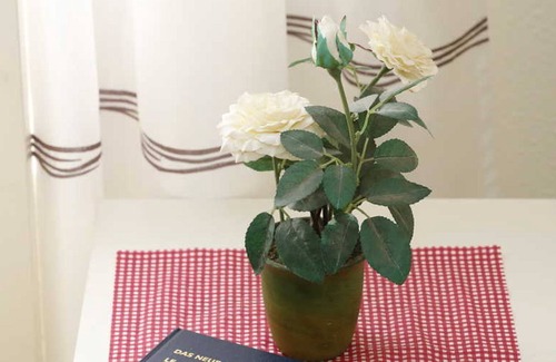 Wallmerod House | Double Comfort - Corners. Inn - Westerwald