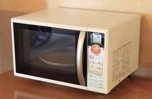 Fuji Hotel | Double Cross Remodeling Stay without meals Pri/Fuji Shizuoka