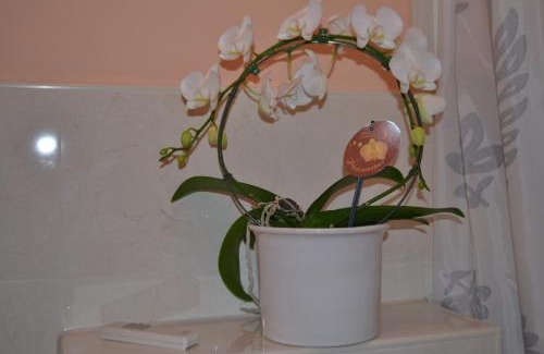 Seligenstadt Apartment | Double M Apartment