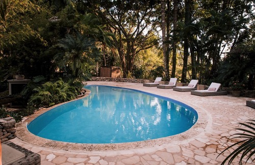 Forest Home Apartment | Double Queen Suite, a relaxation in the heart of the jungle