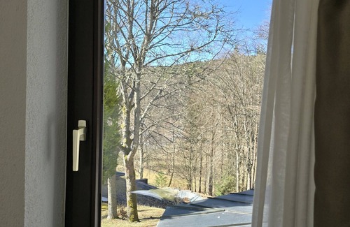 Schoenau an der Brend Apartment | Double room for 4 guests with 24m² in Schönau an der Brend (272954)