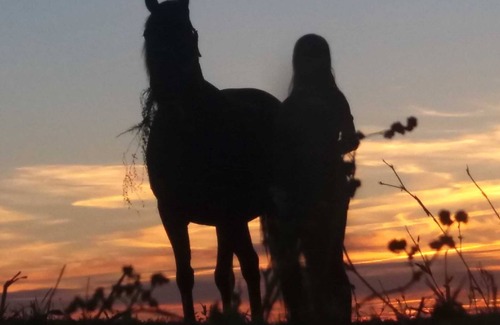 Gustow House | Double room. 4 - Hotel Gutshaus Kajahn