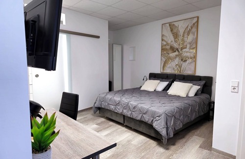 Ramstein-Miesenbach Hotel | Double room for 2