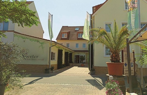 Weisenheim am Berg House | Double room, shower or bath, toilet, non-smoking - Speeter - Hotel/Restaurant