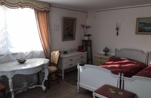 Brugg House | Double room in nice house near the forest (basement floor)