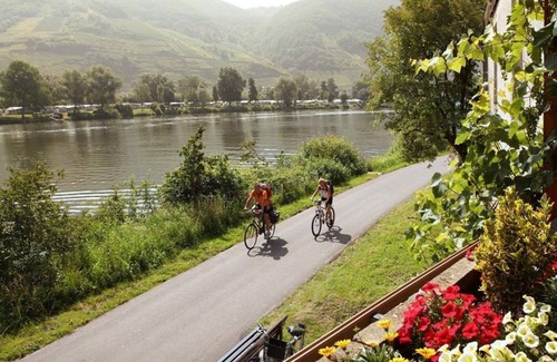 Senhals House | Double room, shower, toilet - Hotel Weinhaus Halfenstube