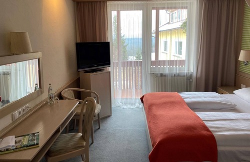 Fichtelberg Apartment | Double room, shower, WC, balcony - WAGNER'S Hotel and Restaurant Schönblick