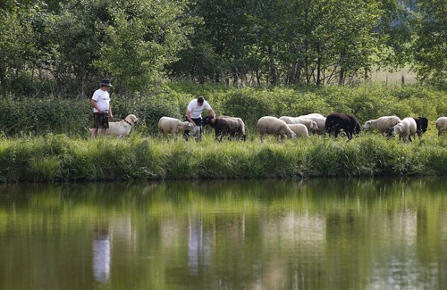 Hohenberg a.d.Eger Apartment | Double room with private bathroom