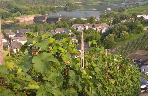 Schleich Bed & Breakfast | Double room with shower/WC - Wein- und Gästehaus Schiefergold