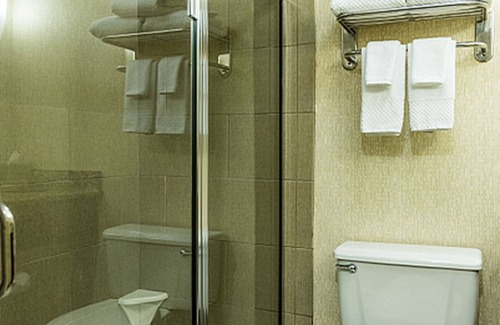 Holland Hotel | DoubleTree by Hilton Holland