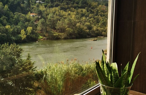 Marco de Canaveses House | Douro House 4 suites, SPA, Swimming pool, Douro river quay