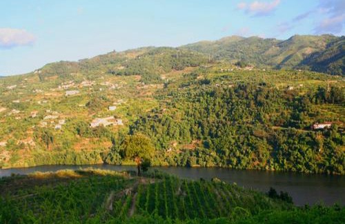 Santa Cruz do Douro Hotel | Douro Palace Hotel Resort & SPA