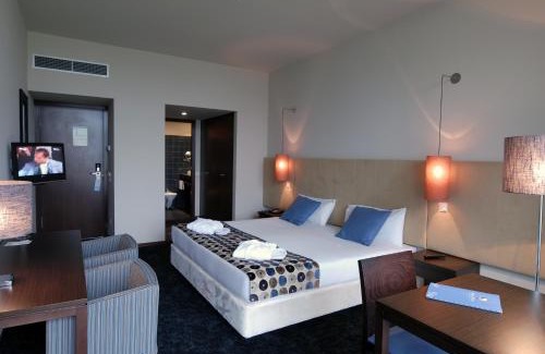 Santa Cruz do Douro Hotel | Douro Palace Hotel Resort & SPA