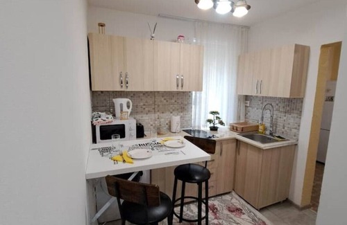 Ramnicu Valcea Apartment | dovali apartment