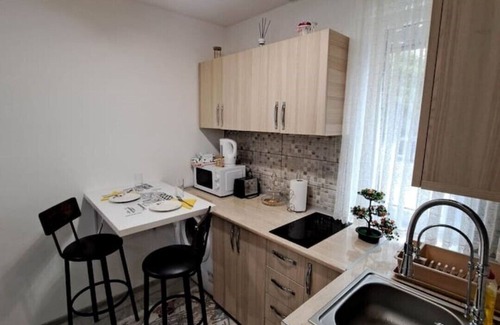 Ramnicu Valcea Apartment | dovali apartment