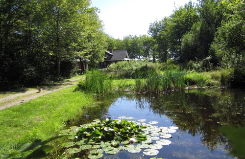 Harrington Cottage | Downeast Getaway Victorian Cottage - Year-round