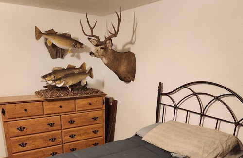 Mahto House | Downstairs rooms available for a family friendly stay!