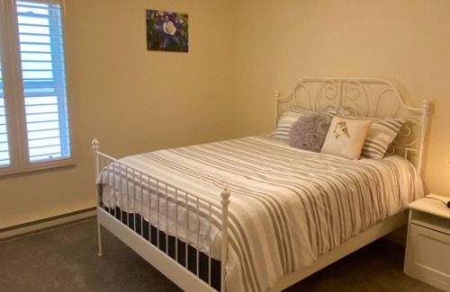 Buena Vista House | DOWNTOWN 3 Bedroom HOME All to yourself Walk to Main Street, Bars, Restaurants!!
