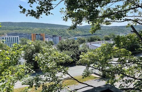 Downtown St. John's Apartment | Downtown 3-Bedroom with Private Deck and off-street Parking