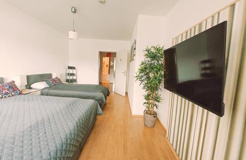 Stadtbezirk 3 Apartment | Downtown Apartments Unterbilk