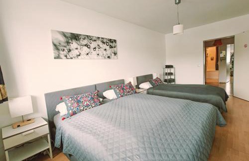 Stadtbezirk 3 Apartment | Downtown Apartments Unterbilk