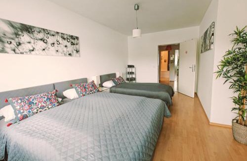 Stadtbezirk 3 Apartment | Downtown Apartments Unterbilk