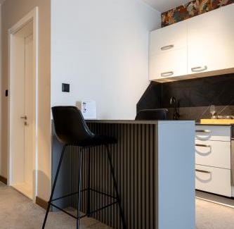 Matiçan Apartment | Downtown Apartments