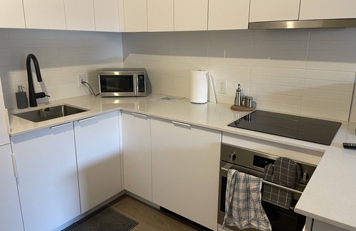 Chinatown Apartment | Downtown bachelor