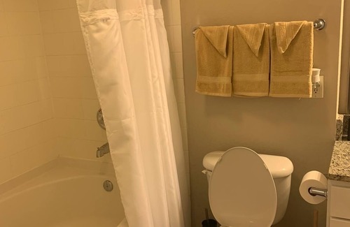 Far North Dallas Apartment | Downtown Dallas