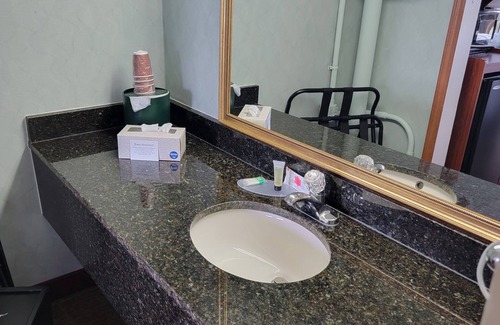 Downtown Asheville Hotel | Downtown Inn #3- King Room