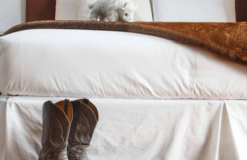 Jackson Hole Hotel | Downtown Jackson - 1 Bedroom Miller Park Deluxe Suite