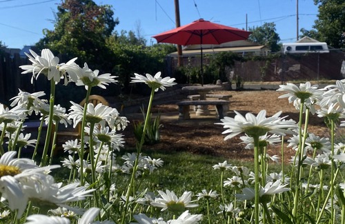 Medford Cottage | Downtown Mint